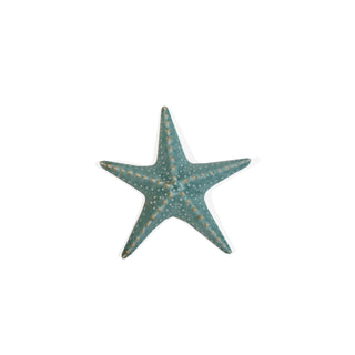 Estrela do Mar Decorativa
