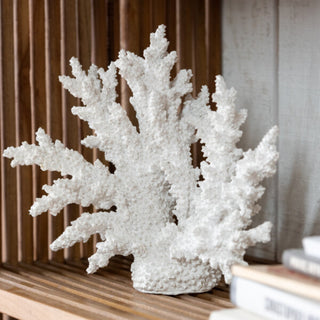 Coral Branco Extra G