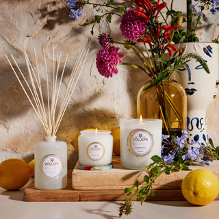 Coffret cadeau Superbloom de fleurs sauvages