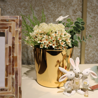 Reflexos de Serenidade