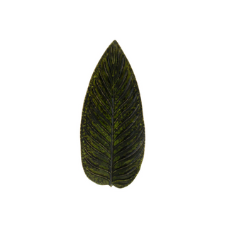 Gift Folha Estrelícia, Riviera Forets 40 cm