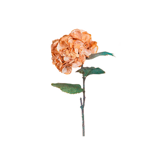 Hortênsia Apricot, 79 cm