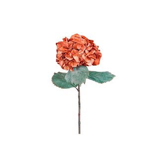 Hortênsia Âmbar, 79 cm