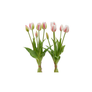 Tulipa Branca & Rosa, Alt. 40 cm