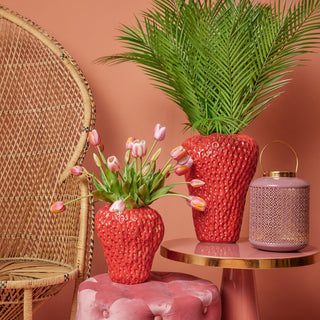 Tulipa Branca & Rosa, Alt. 40 cm