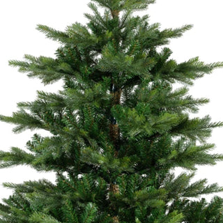 Pinheiro Grandis, 210 cm