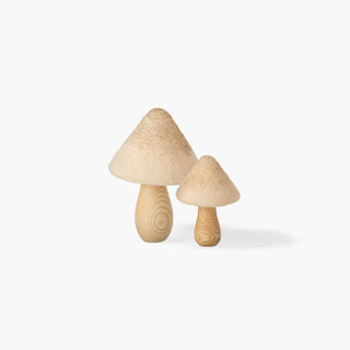 Cogumelo de madeira natural com chapéu cónico bege claro de textura felpuda, sobre fundo branco