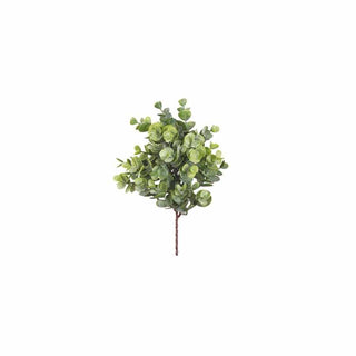 Eucalipto Verde, 28 cm