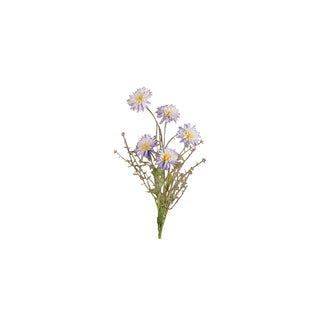 Galho de Aster Lavanda, 70 cm
