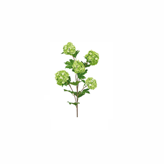 Vivurnum Verde Claro, 91 cm