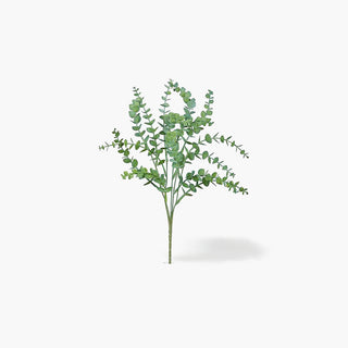 Galho verde com 40 cm de altura.