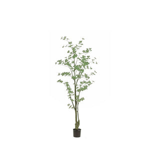 Árvore Tropéleo Verde, 185 cm