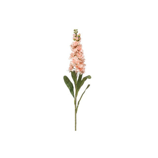 Flor Matthiola Pêssego, 80 cm