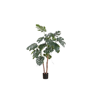 Maceta Philo, 140 cm