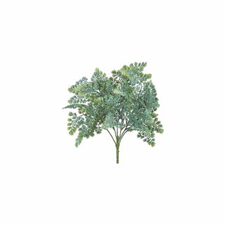 Bush Colandrillo Verde, 40 cm