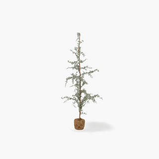 Pinheiro de Natal artificial esguio com tronco fino, ramos delicados em tons de verde e base em musgo, sobre fundo branco