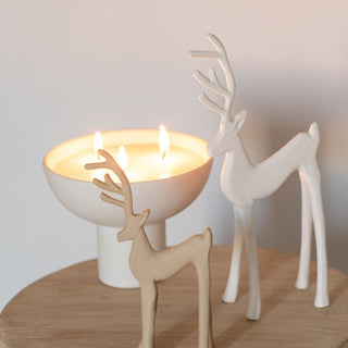 Rena Decorativa Goa