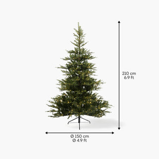 Pinheiro de Natal Grandis com 550 LEDS (210cm)