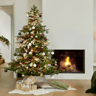 Pinheiro de Natal Grandis Verde (210 cm)