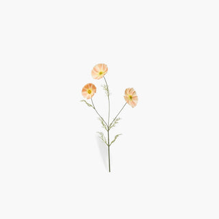 Flor Cosmos Pêssego x3, 80 cm