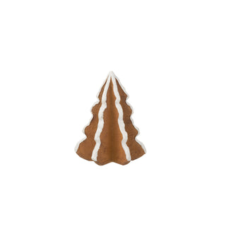 Pinheiro de Gengibre, Alt. 12,5 cm