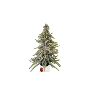 Mini Pinheiro Verde Lucien, Alt. 40cm