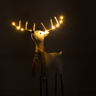 Rena C/ Cachecol Branco e Dourado