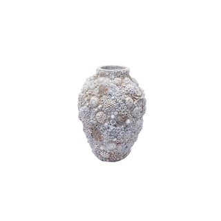 Vaso Conchas