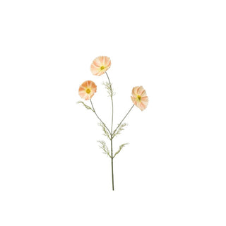 Flor Cosmos Pêssego x3, 80 cm