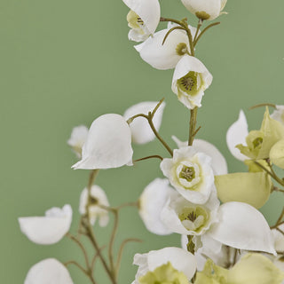 Ramo de Acónito C/ Folhas, 80 cm