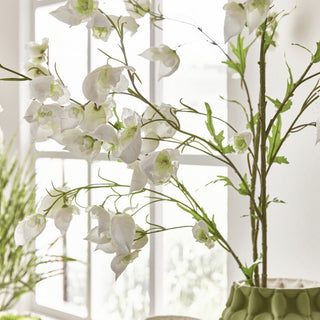 Ramo de Acónito C/ Folhas, 80 cm