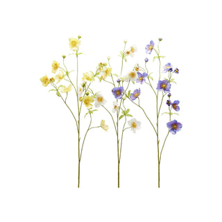 Ramo de Anémona C/ Botões