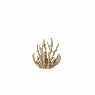 Coral Mar Dourado S