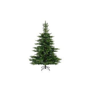 Pinheiro Grandis, 210 cm